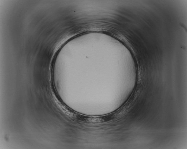 X0000100850795200807181055