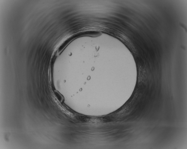 X0000100850796200807181055