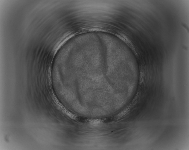 X0000100850798200807181055