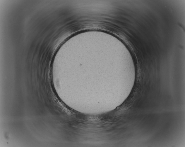 X0000100850799200807181055