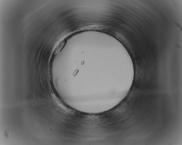 X0000100850800200807181055