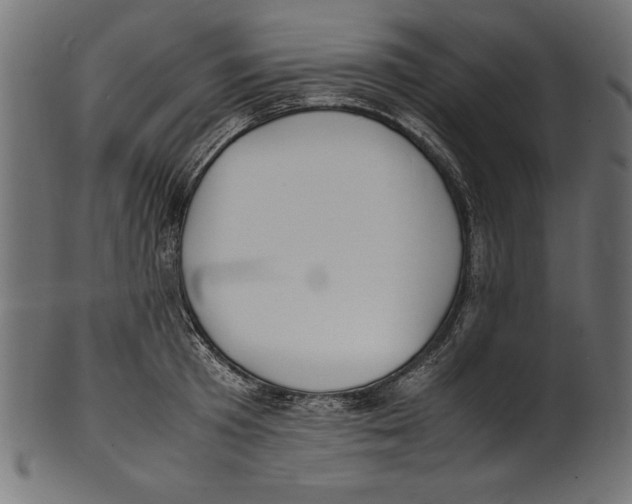 X0000100850801200807181055