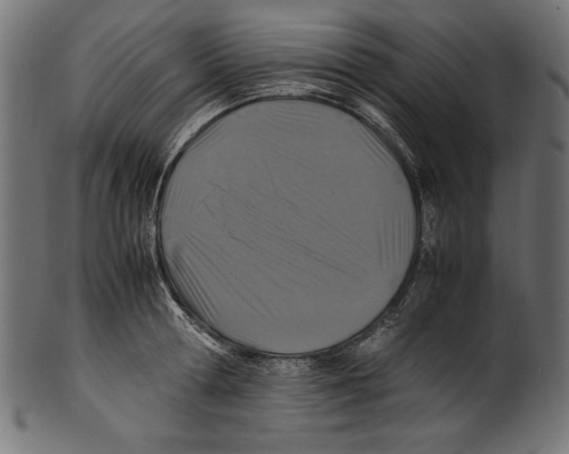 X0000100850802200807181055