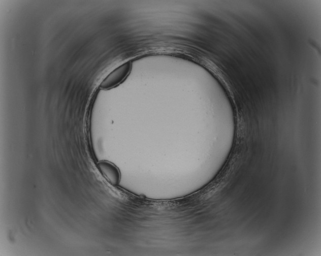X0000100850803200807181055