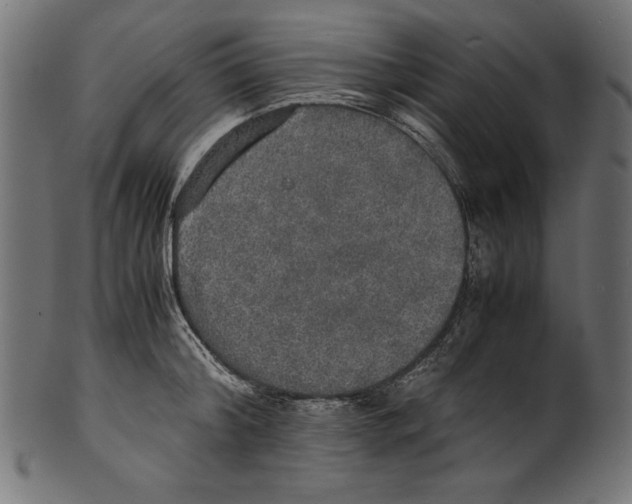X0000100850804200807181055