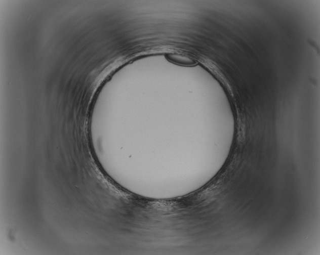 X0000100850805200807181055