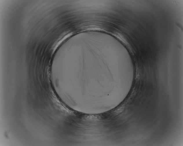 X0000100850806200807181055