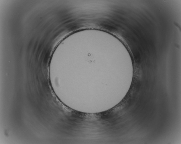 X0000100850807200807181055