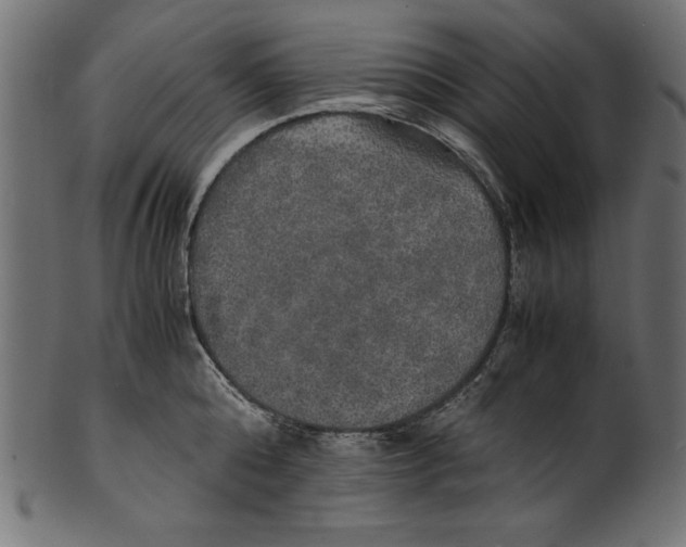X0000100850808200807181055