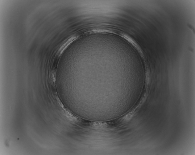 X0000100850809200807181055