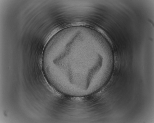 X0000100850810200807181055