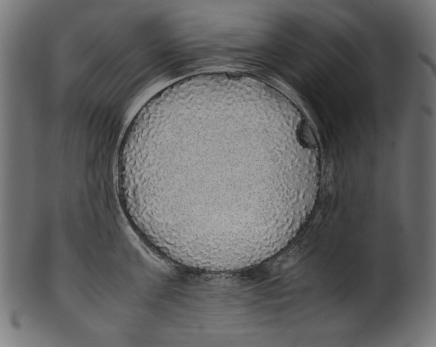 X0000100850811200807181055
