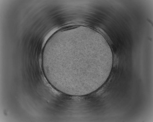 X0000100850812200807181055