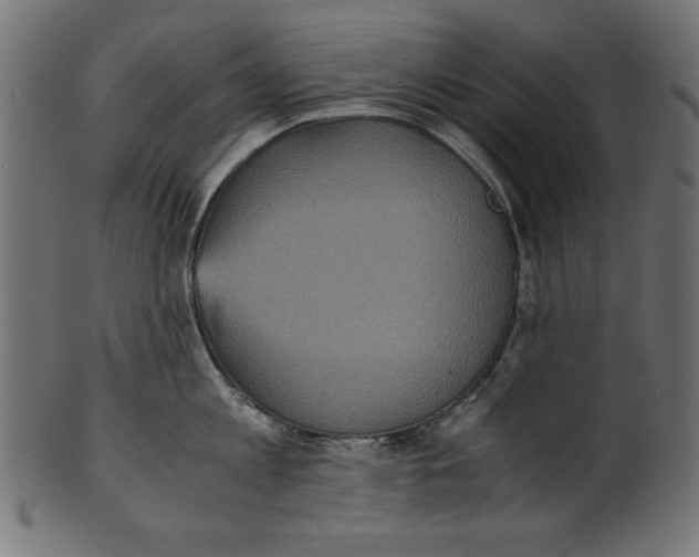 X0000100850813200807181055