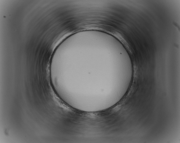 X0000100850814200807181055