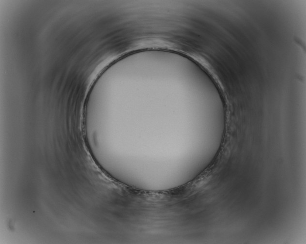 X0000100850815200807181055