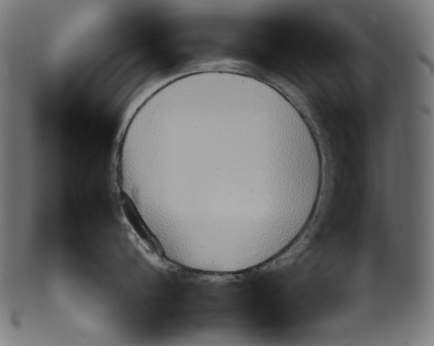 X0000100850816200807181055