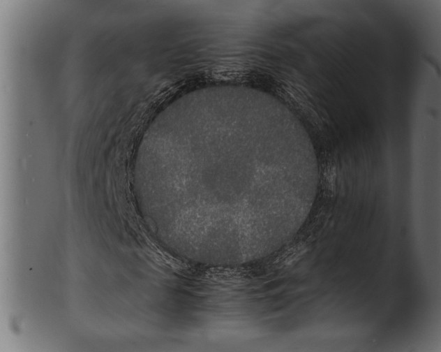 X0000100850817200807181054