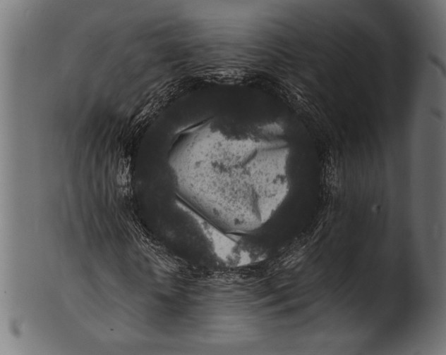 X0000100850818200807181054