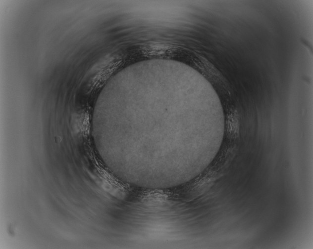 X0000100850820200807181054