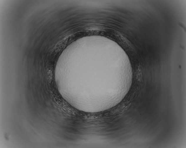 X0000100850821200807181054