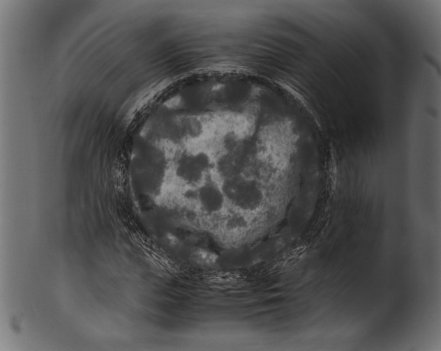 X0000100850823200807181054