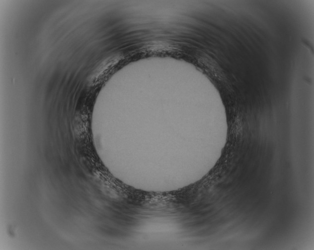 X0000100850824200807181054