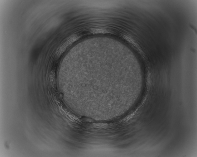 X0000100850825200807181054