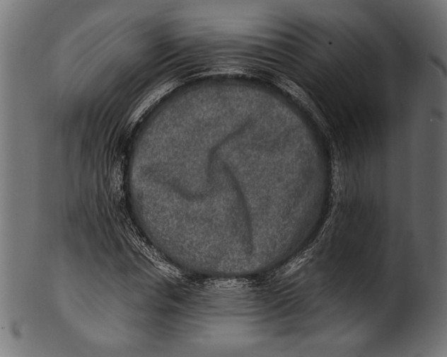 X0000100850826200807181054