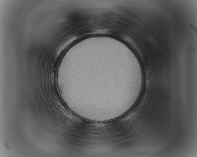 X0000100850827200807181054