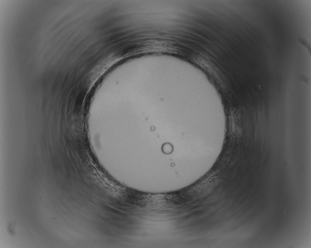 X0000100850828200807181054
