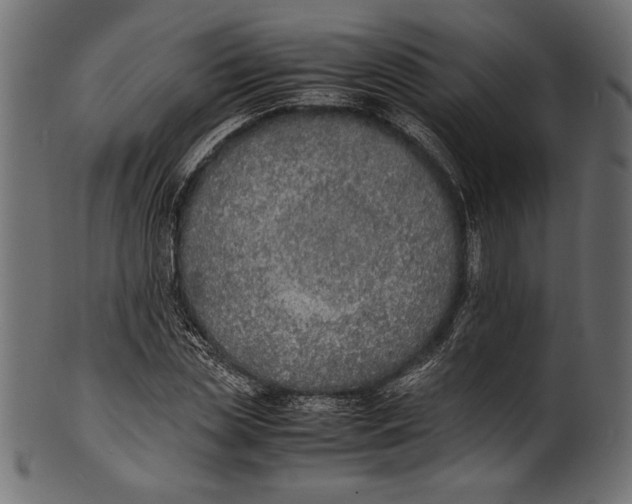 X0000100850829200807181054