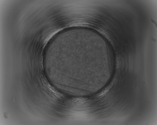 X0000100850830200807181054