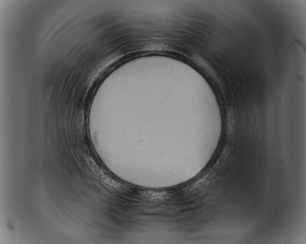 X0000100850831200807181054