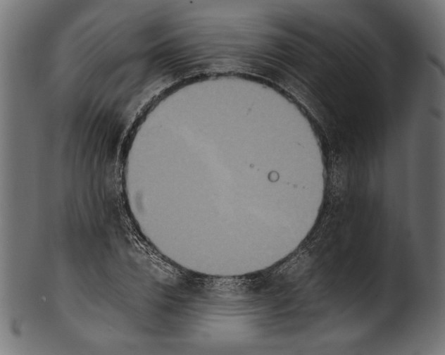 X0000100850832200807181054
