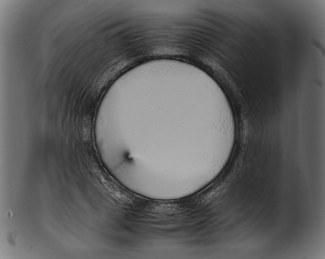 X0000100850833200807181054