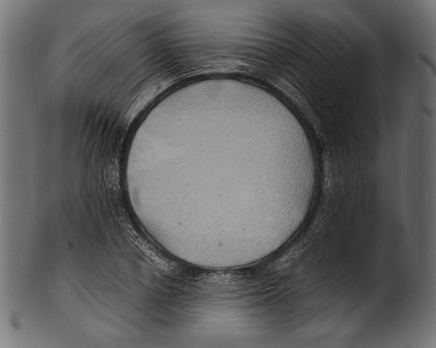 X0000100850834200807181054