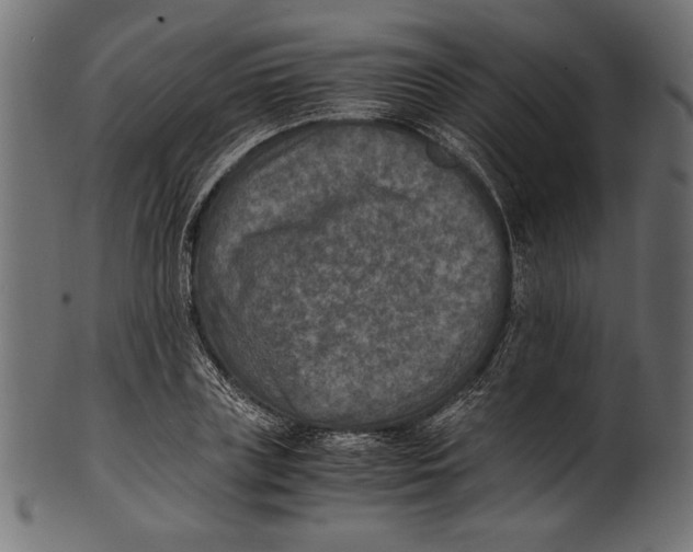 X0000100850835200807181054