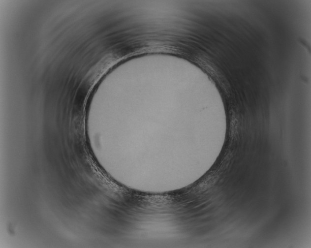 X0000100850836200807181054