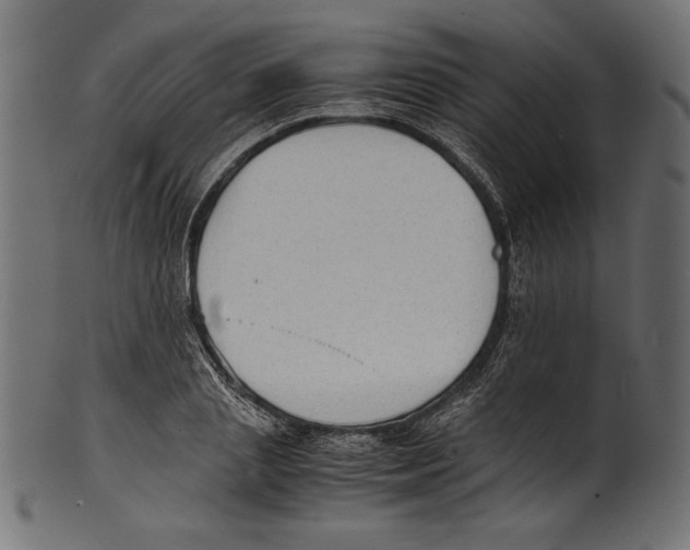 X0000100850837200807181054