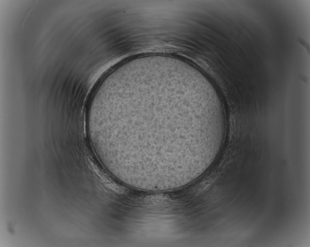 X0000100850838200807181054