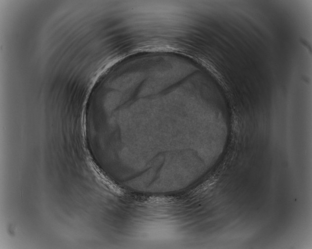 X0000100850840200807181054