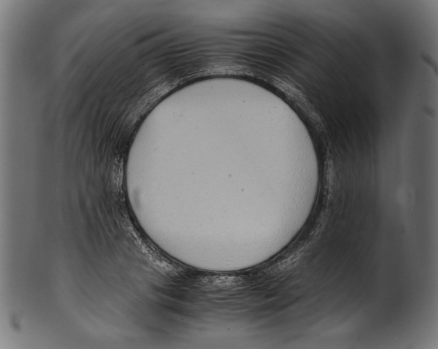 X0000100850841200807181054