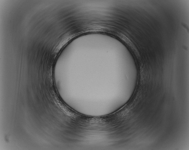 X0000100850842200807181054