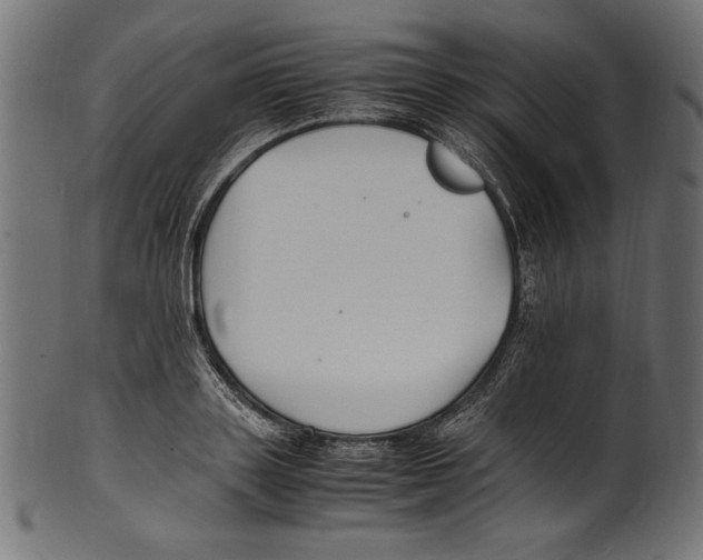 X0000100850843200807181054