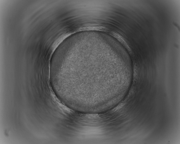 X0000100850844200807181054