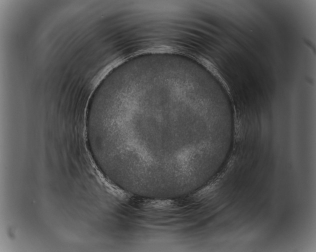 X0000100850845200807181054
