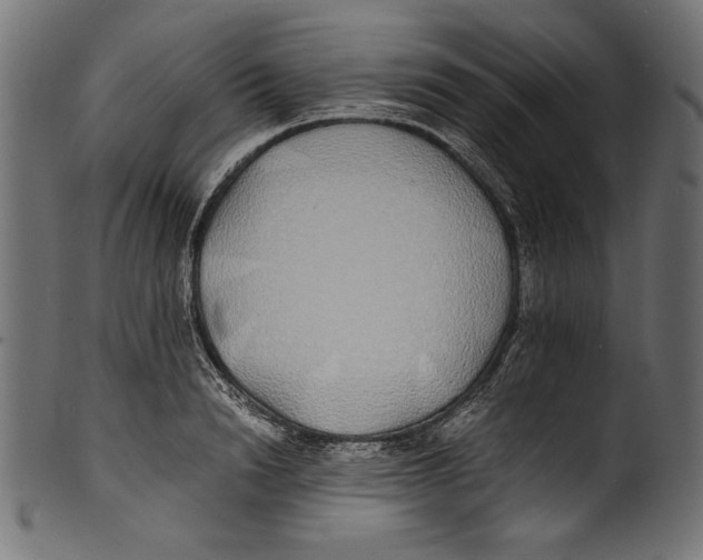 X0000100850846200807181054