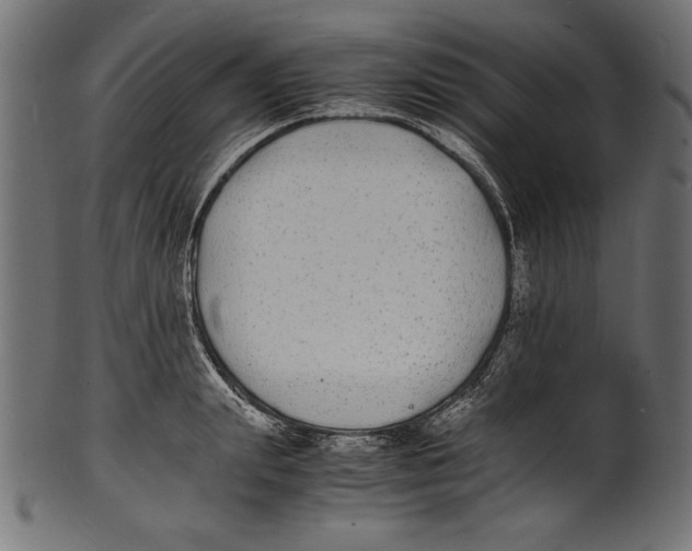 X0000100850847200807181054
