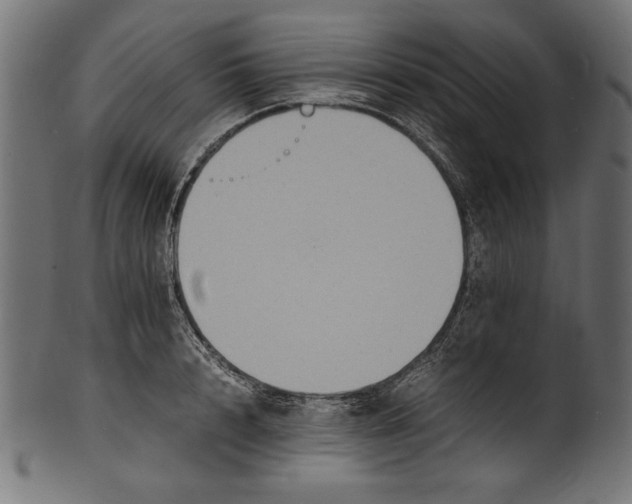 X0000100850848200807181054